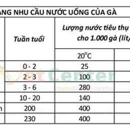 chế độ dinh dưỡng cho gà đá