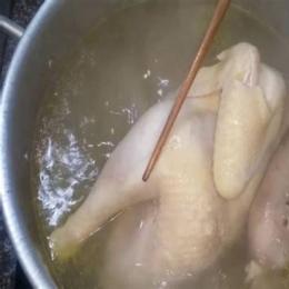 cho gà vào luộc từ đầu hay khi nước đã sôi
