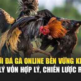 choi da ga online
