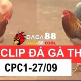 clip da ga bao sting