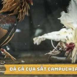 clip ga da cua sat