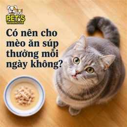 có nên cho mèo ăn da gà