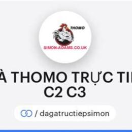 coi đá gà trực tiếp thomo c1 c2 c3 c4