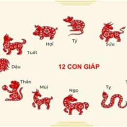 coi ngày gà đá ra trận 12 con giáp theo lịch âm