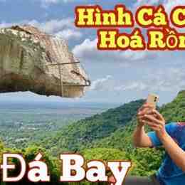 đá bay đầu gà