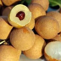 da cóc mà bọc bột lọc, bột lọc mà bọc trứng gà