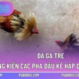 da ga 13/10 c2
