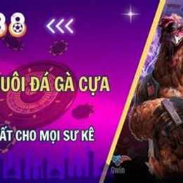 đá gà 17 tháng 8