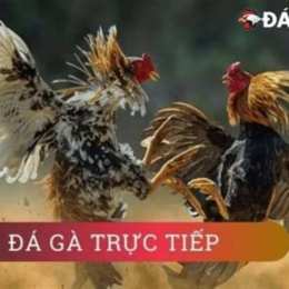 da ga 2020