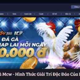 đá gà 23 tháng 6