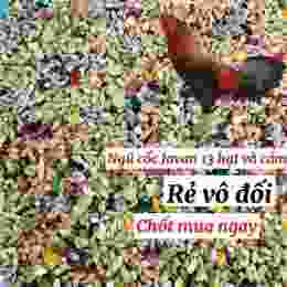 đá gà 23/10
