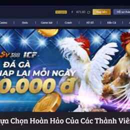 đá gà 24/7/2024