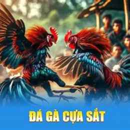 đá gà 27/6 c4