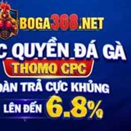 đá gà 368.net