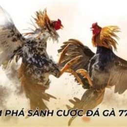 đá gà 78.net