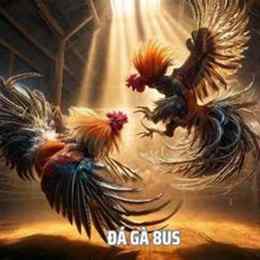 da ga 8/6/2023