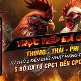 đá gà 88 com trực tiếp