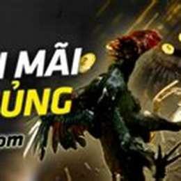 đá gà 88 link
