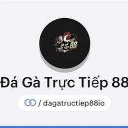 đá gà 88 server