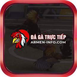 đá gà 88 trực tiếp c2