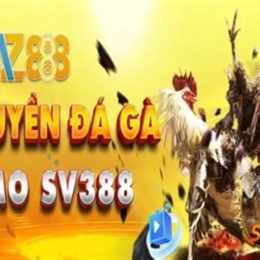 đá gà 888 c1