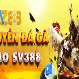 đá gà 888 c2