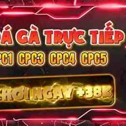 đá gà 888 hôm nay