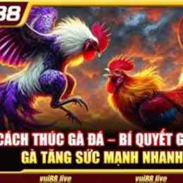 đá gà 88f.link