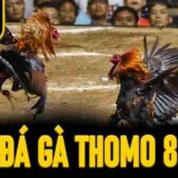 đá gà 88m.net