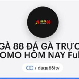 đá gà 88.net hôm nay