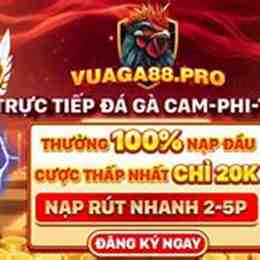 đá gà 88v