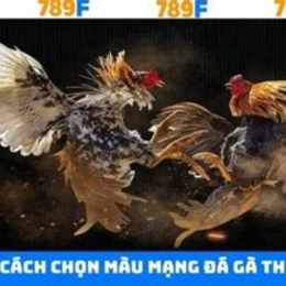 da ga alo 789