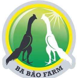 đá gà ba bảo bình định