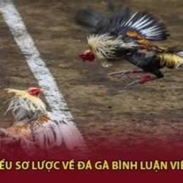 đá gà bình luận viên chấm com