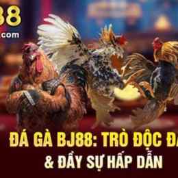 đá gà bj88 bj88.day