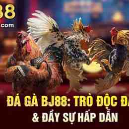 đá ga bj88 bj8.info