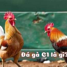 da ga c1 co