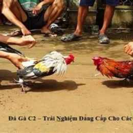 đá gà c2 ngày 12 tháng 9