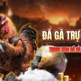 da ga c3 15/4/2024