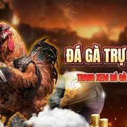 da ga c3 8/9/2024