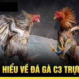 đá gà c3 là gì