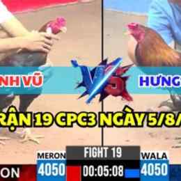 đá gà c3 trận 19 hôm nay