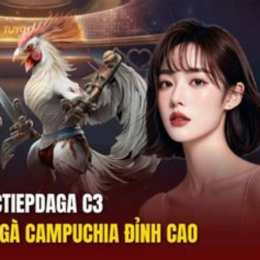 đá gà c3 trận 22