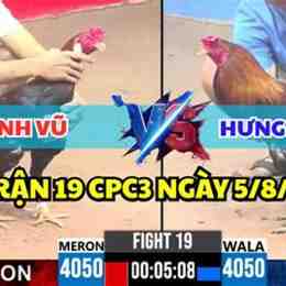 đá gà c3 trận u21 hôm nay