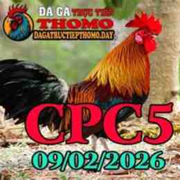 đá gà c5 ngày 19 tháng 09
