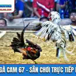 da ga cam 67 c3