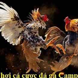 đá gà campuchia ngày 20 tháng 12