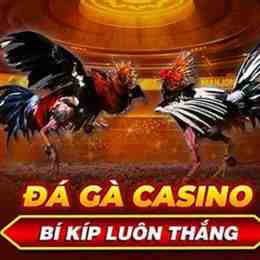 đá gà casino c5