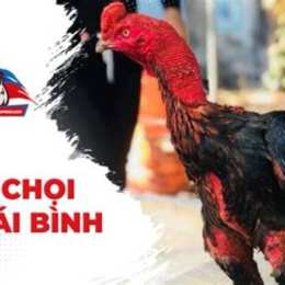 da ga choi hay nhat 2015