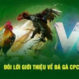 da ga cpc blv